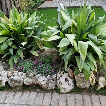 Apartament Gardenia Eraclea Mare