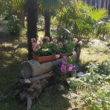 Gardenia Apartment