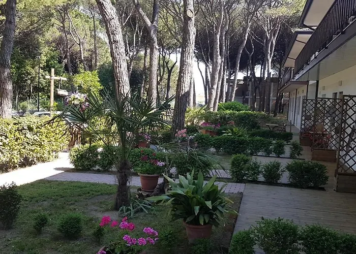 Gardenia ארקליאה מארה