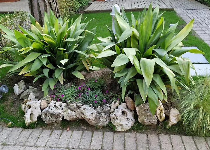 דירה Gardenia ארקליאה מארה